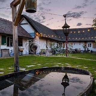 Prodej hotelu, penzionu 588 m&sup2; Brod nad Dyjí