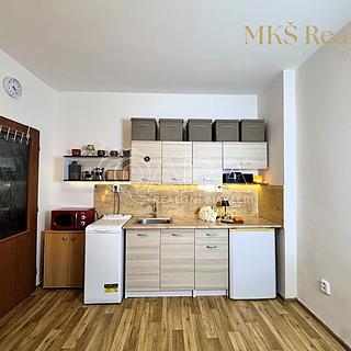 Prodej bytu 1+kk a garsoniéry 16 m² Benešov nad Ploučnicí, Nádražní