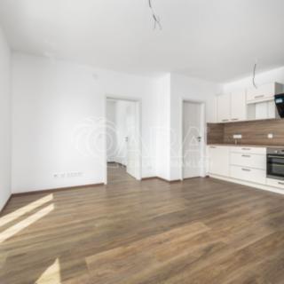 Pronájem bytu 2+kk 45 m² Slaný, Prokopa Holého