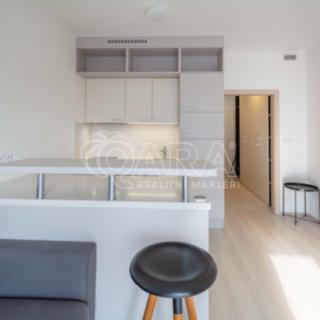 Pronájem bytu 1+kk a garsoniéry 30 m² Praha Vršovice, Petrohradská