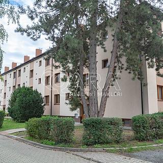Pronájem bytu 1+1 43 m&sup2; Neratovice