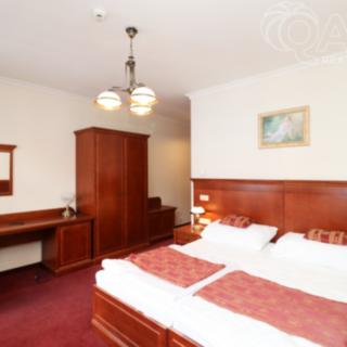 Pronájem bytu 1+kk a garsoniéry 24 m² Praha Vinohrady, Balbínova