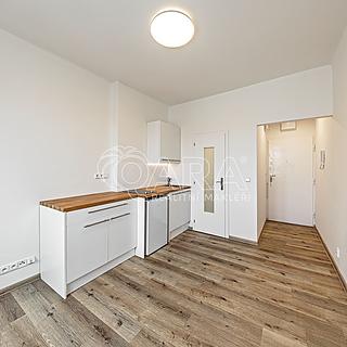 Pronájem bytu 1+kk a garsoniéry 17 m² Praha Nusle, V Horkách