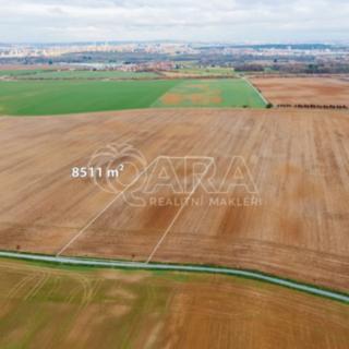 Prodej zemědělské půdy 8511 m² Dolní Břežany