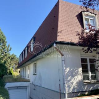 Pronájem pokoje 30 m² Praha