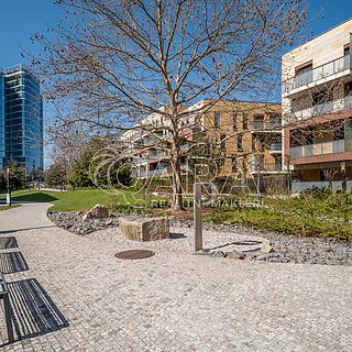 Pronájem bytu 4+kk 109 m&sup2; Praha