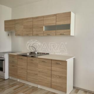 Pronájem bytu 5+1 a více 101 m² Brno Židenice, Valtická