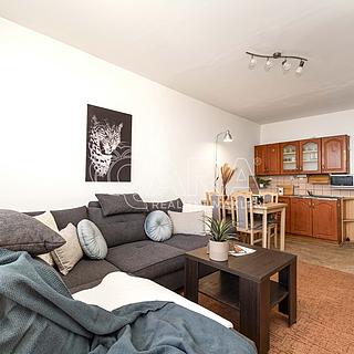 Prodej bytu 1+kk a garsoniéry 27 m² Ostrava Moravská Ostrava, Gen. Píky