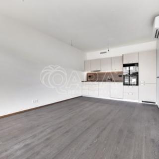 Pronájem bytu 2+kk 50 m² Praha Modřany, Československého exilu