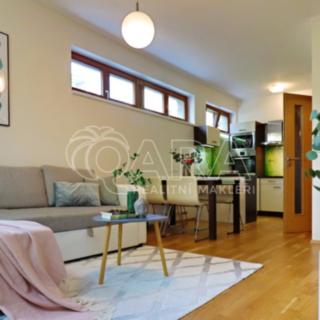 Pronájem bytu 2+kk 48 m² Praha