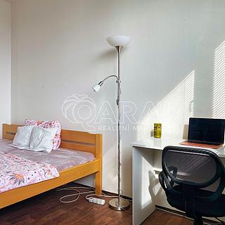 Pronájem pokoje 13 m&sup2; Brno