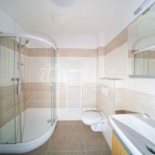 Pronájem bytu 1+kk a garsoniéry 25 m² Neratovice Byškovice, Pražská