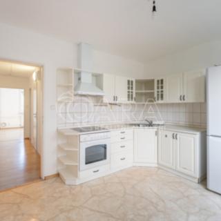 Pronájem bytu 2+1 52 m² Brno Staré, Křídlovická