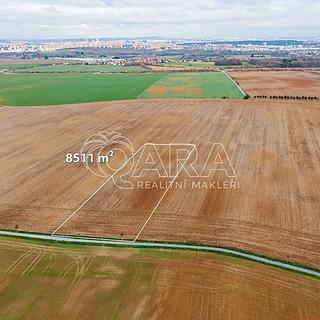 Prodej zemědělské půdy 8 511 m² Dolní Břežany