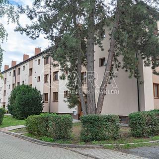 Pronájem bytu 1+1 43 m&sup2; Neratovice