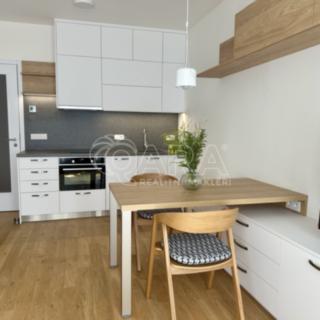 Pronájem bytu 1+kk, garsoniery 32 m² Praha