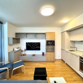 Pronájem bytu 2+kk 45 m² Praha