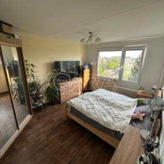 Pronájem bytu 1+1 36 m² Lanškroun Ostrovské Předměstí, Seifertova