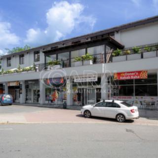 Pronájem obchodu 160 m² Mělník, Nová