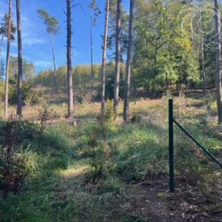 Prodej lesa 8 586 m² Štěchovice Masečín