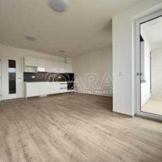 Pronájem bytu 1+kk a garsoniéry 36 m² Brno Horní Heršpice, Jižní