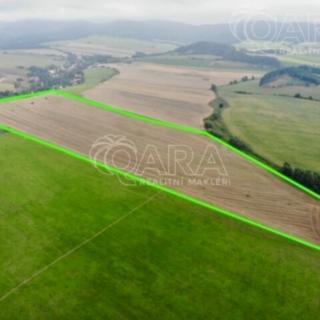 Prodej zemědělské půdy 195602 m² Heřmánkovice