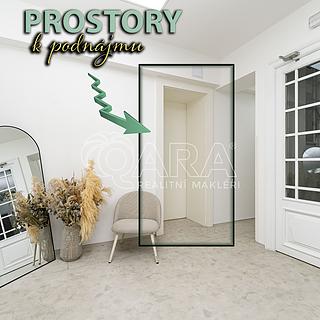 Pronájem ostatního komerčního prostoru 51 m² Ostrava Moravská, Přívozská