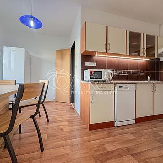 Pronájem bytu 3+1 65 m² České Budějovice 2, J. Opletala