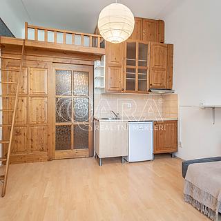 Pronájem bytu 1+kk, garsoniery 22 m&sup2; Praha