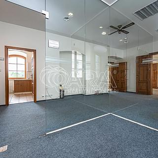 Pronájem obchodu 298 m² Mladá Boleslav, Vodkova