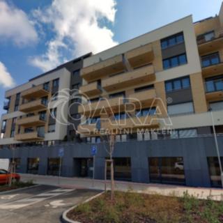 Pronájem bytu 1+kk, garsoniery 41 m² Praha