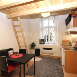 Pronájem bytu 1+kk a garsoniéry 17 m² Praha Nové Město, Salmovská