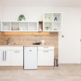 Pronájem bytu 1+kk, garsoniery 35 m² Starý Jičín