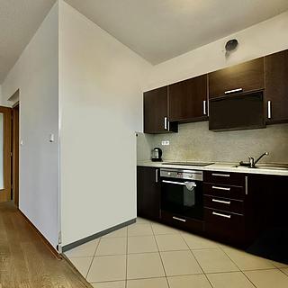 Pronájem bytu 1+1 41 m² Praha Hloubětín, Nademlejnská