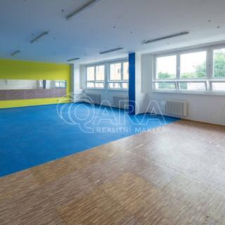 Pronájem kanceláře 261 m² Mělník, Bezručova
