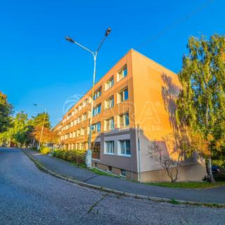 Pronájem bytu 2+kk 40 m² Králův Dvůr