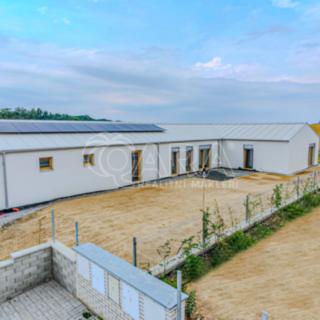 Prodej rodinného domu 218 m² Radějovice Olešky