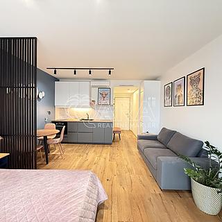 Pronájem bytu 1+kk a garsoniéry 33 m² Praha Karlín, Křižíkova