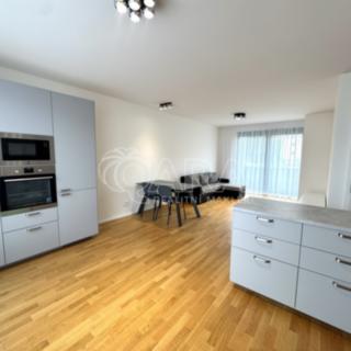 Pronájem bytu 3+kk 80 m² Praha Žižkov, Seifertova