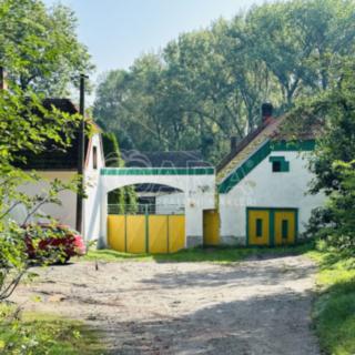 Prodej zemědělské usedlosti 880 m² Stradonice