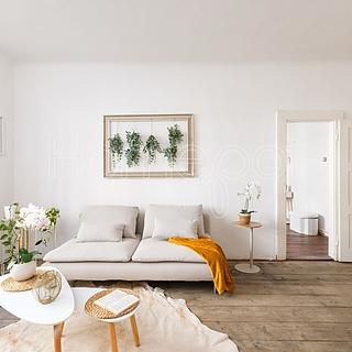 Prodej bytu 1+1 53 m² Praha Holešovice, Jirečkova