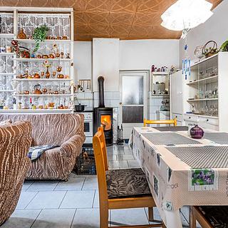 Prodej rodinného domu 365 m&sup2; Úsobí