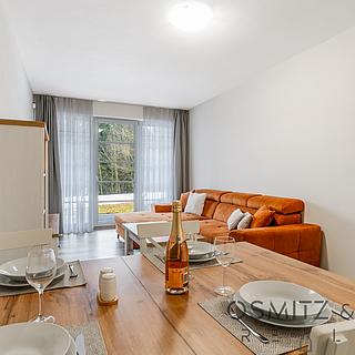 Prodej bytu 2+kk 59 m² Říčky v Orlických horách