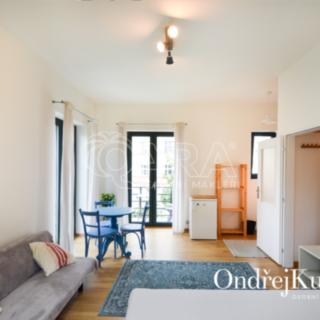 Pronájem bytu 1+kk, garsoniery 30 m² Praha