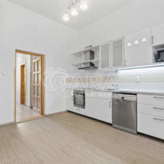 Pronájem bytu 4+kk 120 m² Praha