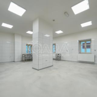 Pronájem výrobního objektu 115 m² Příbor, Freudova