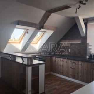 Pronájem bytu 1+1 90 m² Nová Bystřice, Vídeňská