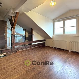 Prodej bytu 3+kk 91 m² Hradec Králové Pražské Předměstí, Horova