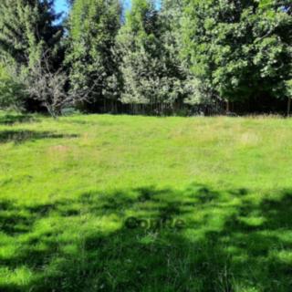 Prodej stavební parcely 1 287 m² Jiříkov Filipov