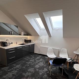 Pronájem kanceláře 49 m² Ústí nad Labem Ústí nad Labem-centrum, Žižkova